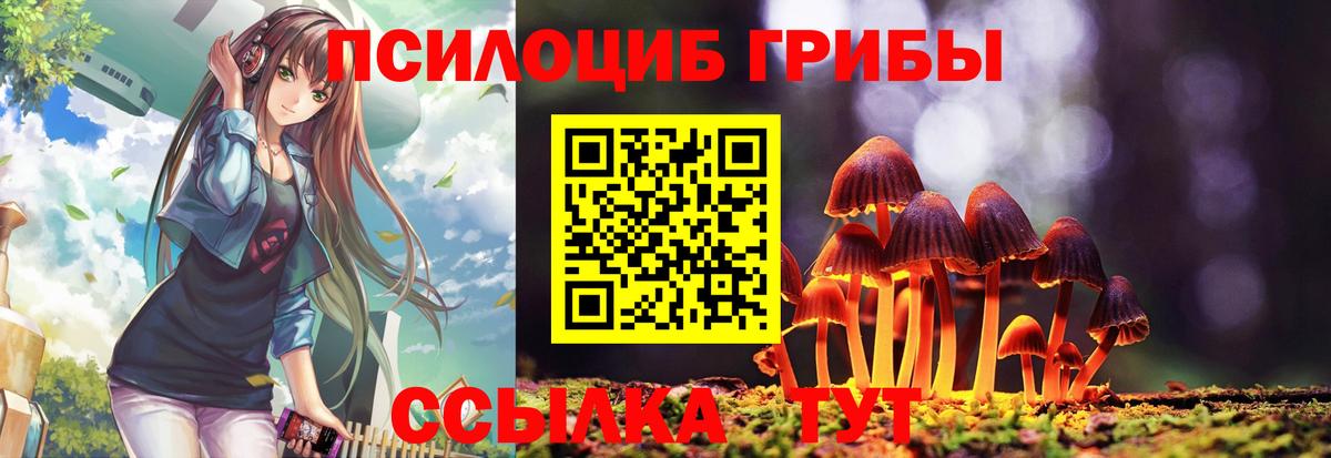 Псилоцибиновые грибы Cubensis Майкоп