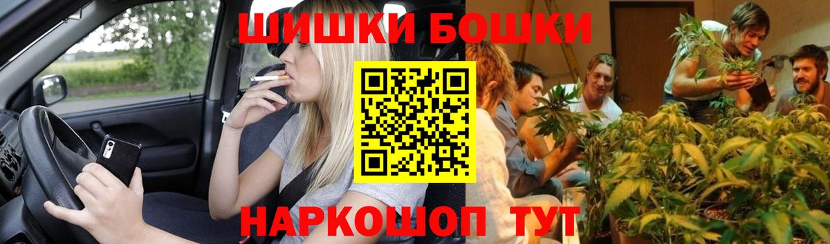 МАРИХУАНА гибрид Майкоп